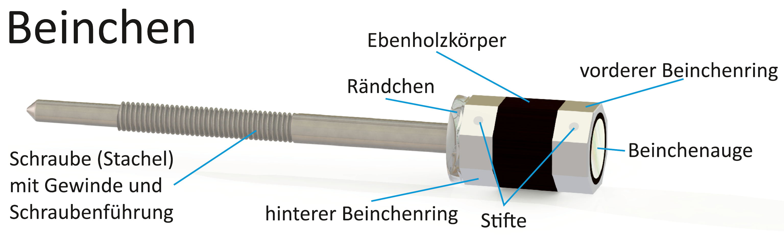 Das Beinchen – die Bogenschraube – besteht aus mehreren präzise aufeinander abgestimmten Einzelteilen.