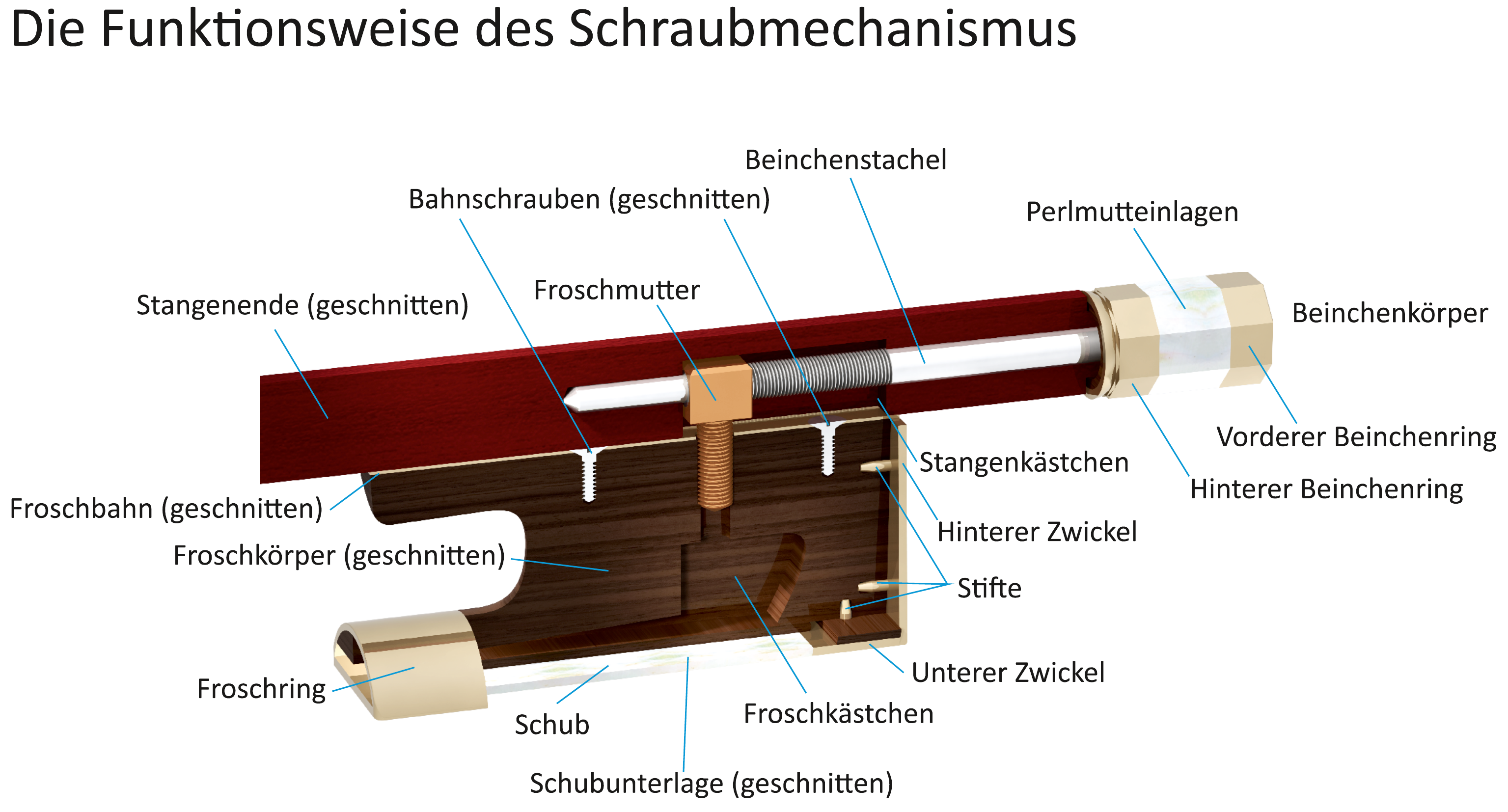 Schematische Darstellung des Innenlebens von Frosch, Stangenende und Beinchen.