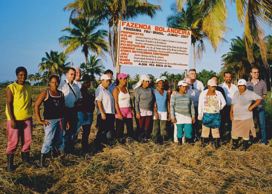 Pau-Brasil-Pflanzprojekt auf der Fazenda Bolandeira