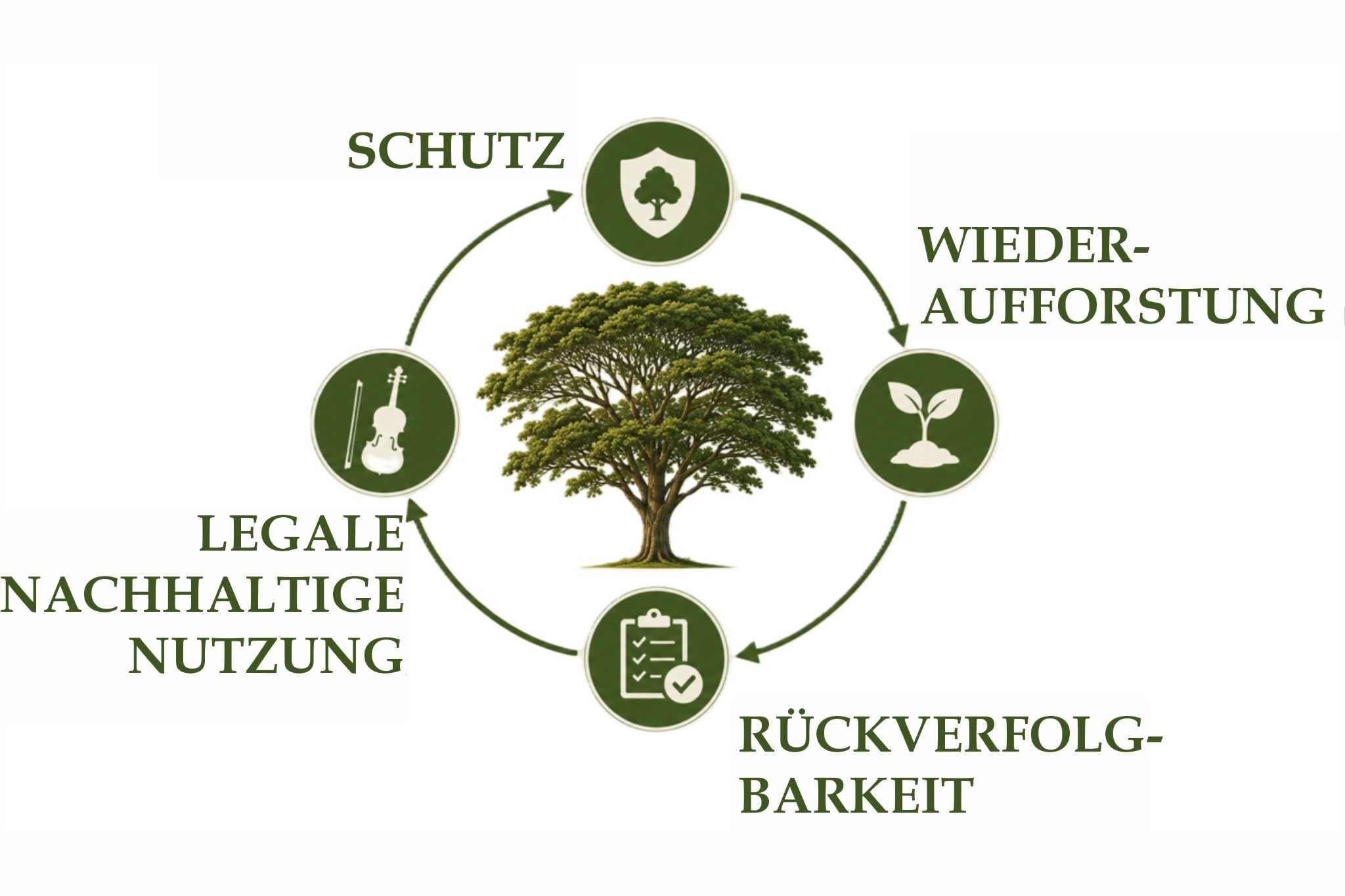 Grafische Darstellung des Zusammenspiels von Schutz, Wiederaufforstung, Rückverfolgbarkeit und legaler Nutzung.