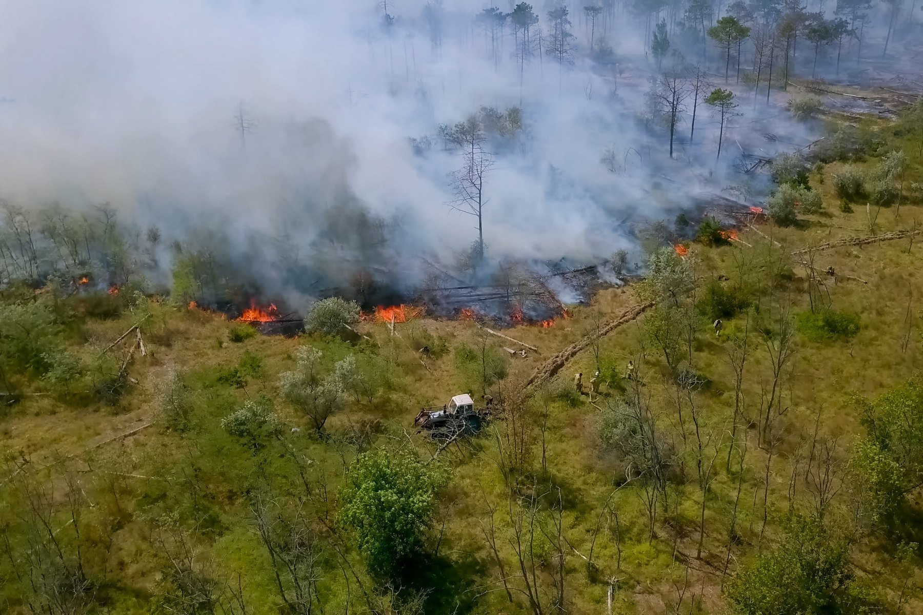 Rauch und Feuer in einer geschädigten Landschaft.