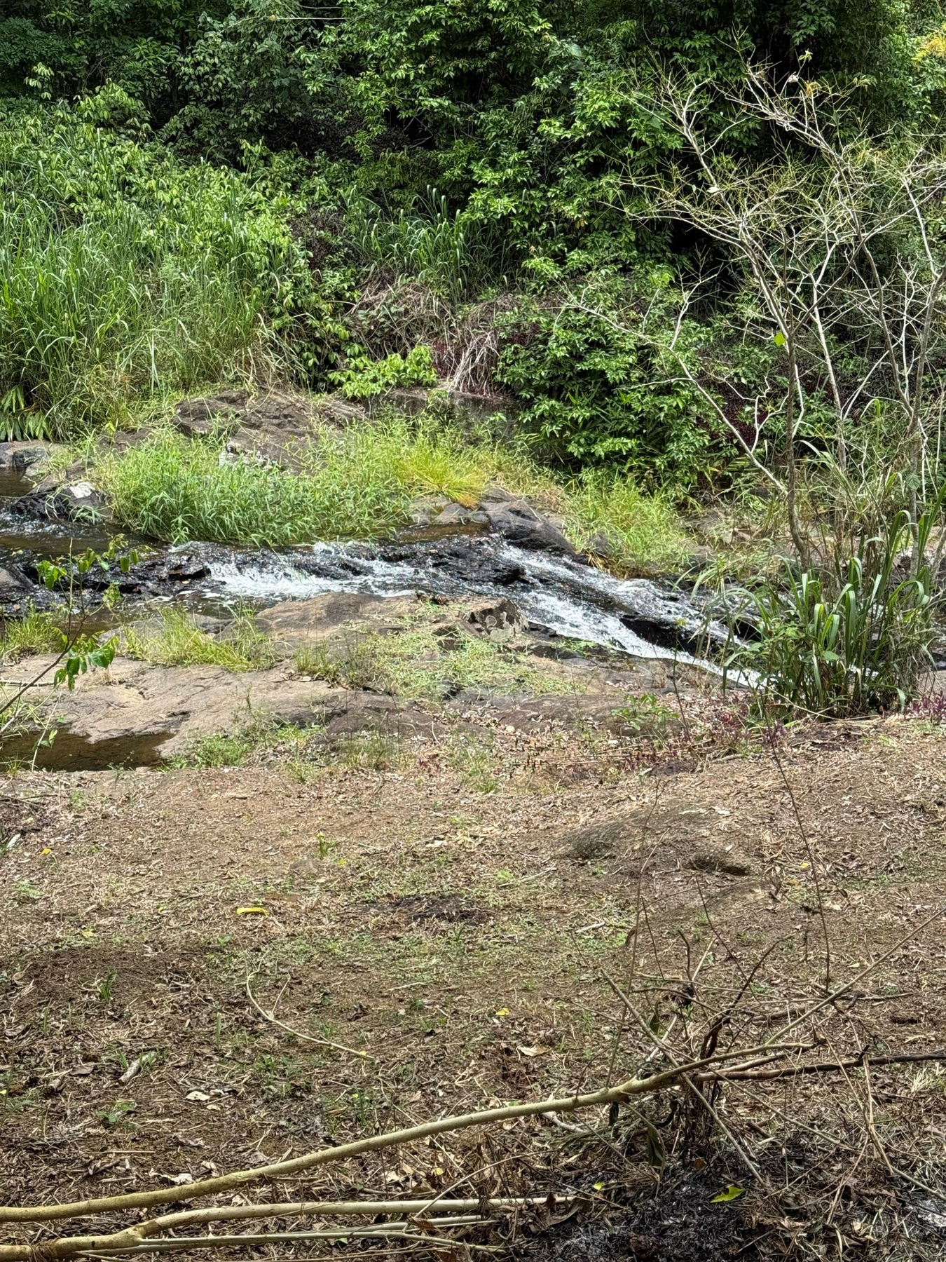 Kleiner Wasserlauf in einer felsigen Landschaft.